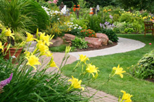 Landscaping Service Minneapolis St Paul MN